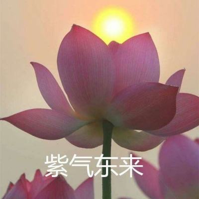 铁血帝国红警风暴果盘版下载