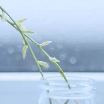 九游女神保卫战官方下载