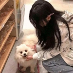 龙珠z战士手机版下载